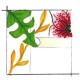 aux vents des couleurs Papiers Peints chantonnay